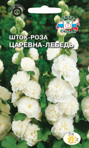 Шток-роза Царевна-лебедь  купить