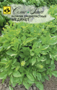 Базилик Мединет  купить