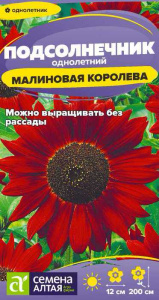 Подсолнечник Малиновая Королева  купить