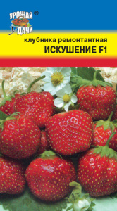 Клубника Искушение F1 ремонтантная купить