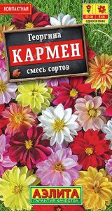 Георгина Кармен, смесь купить