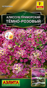 Алиссум Тёмно-розовый приморский купить