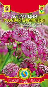 Астранция Розовая симфония  купить