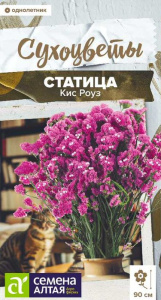Статица Кис Роуз  Сухоцветы купить