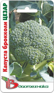 Капуста брокколи  Цезар купить