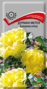 Дурман Балерина еллоу метельчатый купить