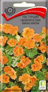 Настурция низкорослая Аляска золотая купить