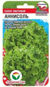 Салат Аннисоль купить