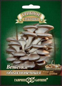 Вешенка Обыкновенная на древесной палочке  купить