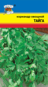 Кориандр Тайга  купить