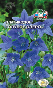 Платикодон Голубое озеро (голубой)  купить