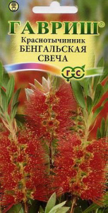 Краснотычинник Бенгальская Свеча  купить