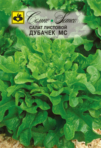 Салат Дубачек МС листовой  купить