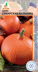 Тыква Сибирская малышка купить
