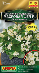 Бегония Фея F1 белоснежная вечноцветущая махровая  купить