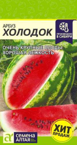 Арбуз Холодок  купить
