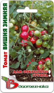 Томат Зимняя Вишня  купить