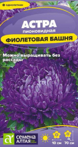 Астра Башня Фиолетовая купить