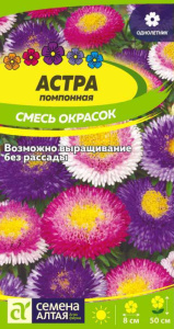 Астра Помпонная Смесь Окрасок 									 купить