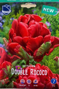 Тюльпан попугайный "Double Rococo" (1х10шт) купить