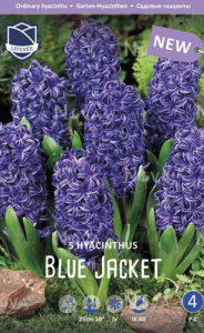 Гиацинт "Blue Jacket" (1х5шт) купить