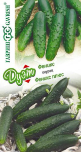 Огурец Феникс + Феникс плюс  купить