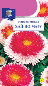 Астра Хай-но-Мару японская помпонная купить