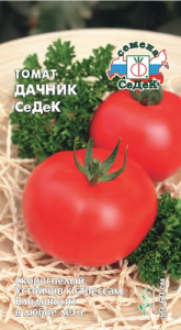 Томат Дачник СеДеК 0,1г купить