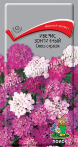 Иберис Смесь окрасок зонтичный купить