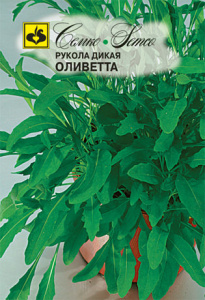 Руккола Оливетта дикая купить