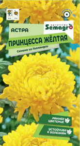 Астра Принцесса жёлтая  купить