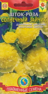 Шток-роза Солнечный зайчик купить