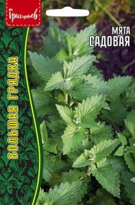 Мята Садовая купить