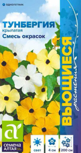 Тунбергия Смесь окрасок крылатая  купить