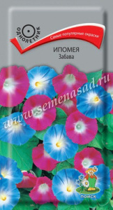 Ипомея Забава купить