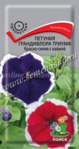 Петуния грандифлора Триумф Красно-синяя с каймой купить