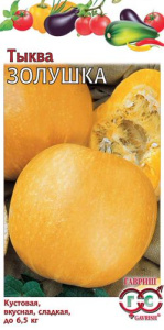 Тыква Золушка купить