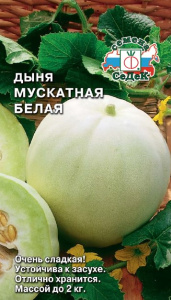 Дыня Мускатная Белая  купить