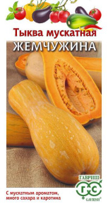 Тыква Жемчужина мускатная  купить