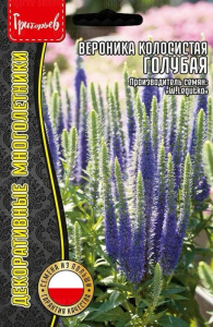 Вероника Голубая колосистая купить