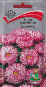 Астра мацумото Ред страйпед купить