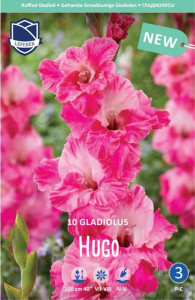 Гладиолус гофрированный Hugo (1х10шт) купить
