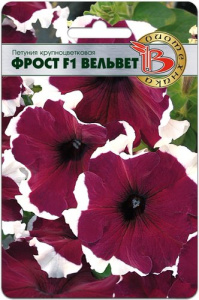 Петуния Фрост F1 Вельвет крупноцветковая купить