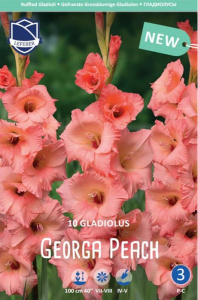 Гладиолус XXL Georga Peach 14/16 (1х10шт) купить