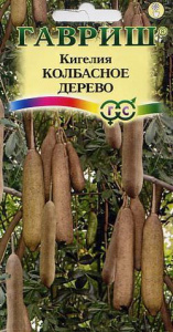 Кигелия Колбасное дерево  купить