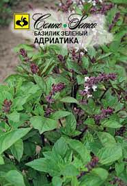 Базилик Адриатика  купить