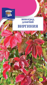 Виноград девичий ВИРГИНИЯ купить