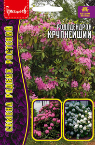 Рододендрон Крупнейший купить