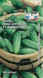 Огурец Филиппок F1  купить