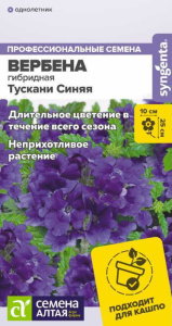 Вербена Тускани гибридная Синяя 4шт купить